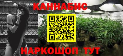 дмт Аша